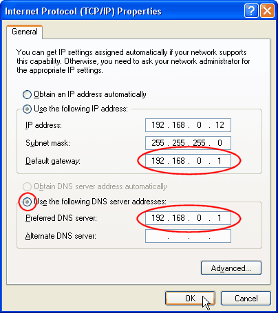 TCP/IP properties